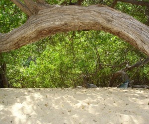 Parque Natural Nacional Tayrona (Fuente Propia)